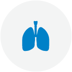 especialidades-neomologia
