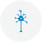 especialidades-neurofisiologia